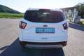 Ford Kuga 1.5  Trend 4x2 Start/Stopp Weiß - thumbnail 5