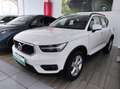 Volvo XC40 (2017-->) - XC40 D3 Geartronic Momentum Blanc - thumbnail 2