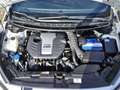 Kia Ceed / cee'd 1.6 Turbo GDi GT 204pk PANORAMADAK|NAVIGATIE|CAMER Wit - thumbnail 35