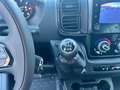Fiat Ducato 2.2 Mjt 140CV Cassonato Maxi Bianco - thumbnail 14