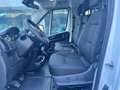 Fiat Ducato 2.2 Mjt 140CV Cassonato Maxi Bianco - thumbnail 8