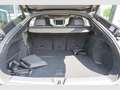 Audi Q5 40 TDI SPB NEW MODEL S LINE TETTO KAMERA MATRIX 20 Grigio - thumbnail 11