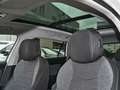 Skoda Superb C. Selection 1.5TSI 150 PS DSG AHK Navi Weiß - thumbnail 12