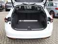 Skoda Superb C. Selection 1.5TSI 150 PS DSG AHK Navi Weiß - thumbnail 14