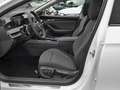 Skoda Superb C. Selection 1.5TSI 150 PS DSG AHK Navi Weiß - thumbnail 10