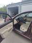 Skoda Superb Superb Elegance 2,0 TDI CR DPF DSG Elegance Rot - thumbnail 5