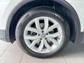 Volkswagen Tiguan Highline 2.0TDI DSG LED VIRTUAL 360° AHK Blanc - thumbnail 11