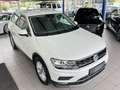 Volkswagen Tiguan Highline 2.0TDI DSG LED VIRTUAL 360° AHK Blanc - thumbnail 30