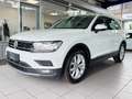 Volkswagen Tiguan Highline 2.0TDI DSG LED VIRTUAL 360° AHK Blanc - thumbnail 5
