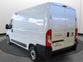 Fiat Ducato 30 2.2 Mjt 120CV MH2 FRIGO FNAX 10/29 ATP Bianco - thumbnail 4