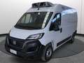 Fiat Ducato 30 2.2 Mjt 120CV MH2 FRIGO FNAX 10/29 ATP Bianco - thumbnail 3