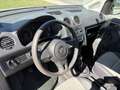 Volkswagen Caddy Kastenwagen Entry+ 1,6 TDI DPF Weiß - thumbnail 7