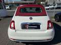 Fiat 500 Cabrio Weiß - thumbnail 5