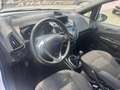 Ford B-Max 1.0 100CV Ecoboost Titanium Bianco - thumbnail 10
