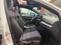 Volkswagen Golf GTI 2.0 TSI GTI DSG PERFORMANCE TETTUCCIO Bianco - thumbnail 11
