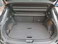 Nissan Qashqai 1,3 MHEV Tekna+ *ab € 35.990,-* Schwarz - thumbnail 14
