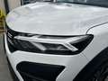 Dacia Jogger 1.0 TCe GPL 100 CV 5 posti Extreme Blanc - thumbnail 9