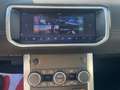 Land Rover Range Rover Evoque Range Rover Evoque 2.0 TD4 150 CV 5p. SE Dynamic Blanc - thumbnail 13