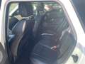 Land Rover Range Rover Evoque Range Rover Evoque 2.0 TD4 150 CV 5p. SE Dynamic Blanc - thumbnail 9