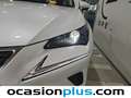 Lexus NX 300 300h Business 2WD Weiß - thumbnail 12