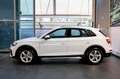 Audi Q5 35 TDI S-Tronic Business Advanced - 360°/ADAS Weiß - thumbnail 3