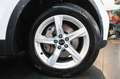 Audi Q5 35 TDI S-Tronic Business Advanced - 360°/ADAS Weiß - thumbnail 6