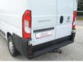 Fiat Ducato 35 L4H2 160 *AHK*Kamera*Tachograph*Klima* Bianco - thumbnail 9
