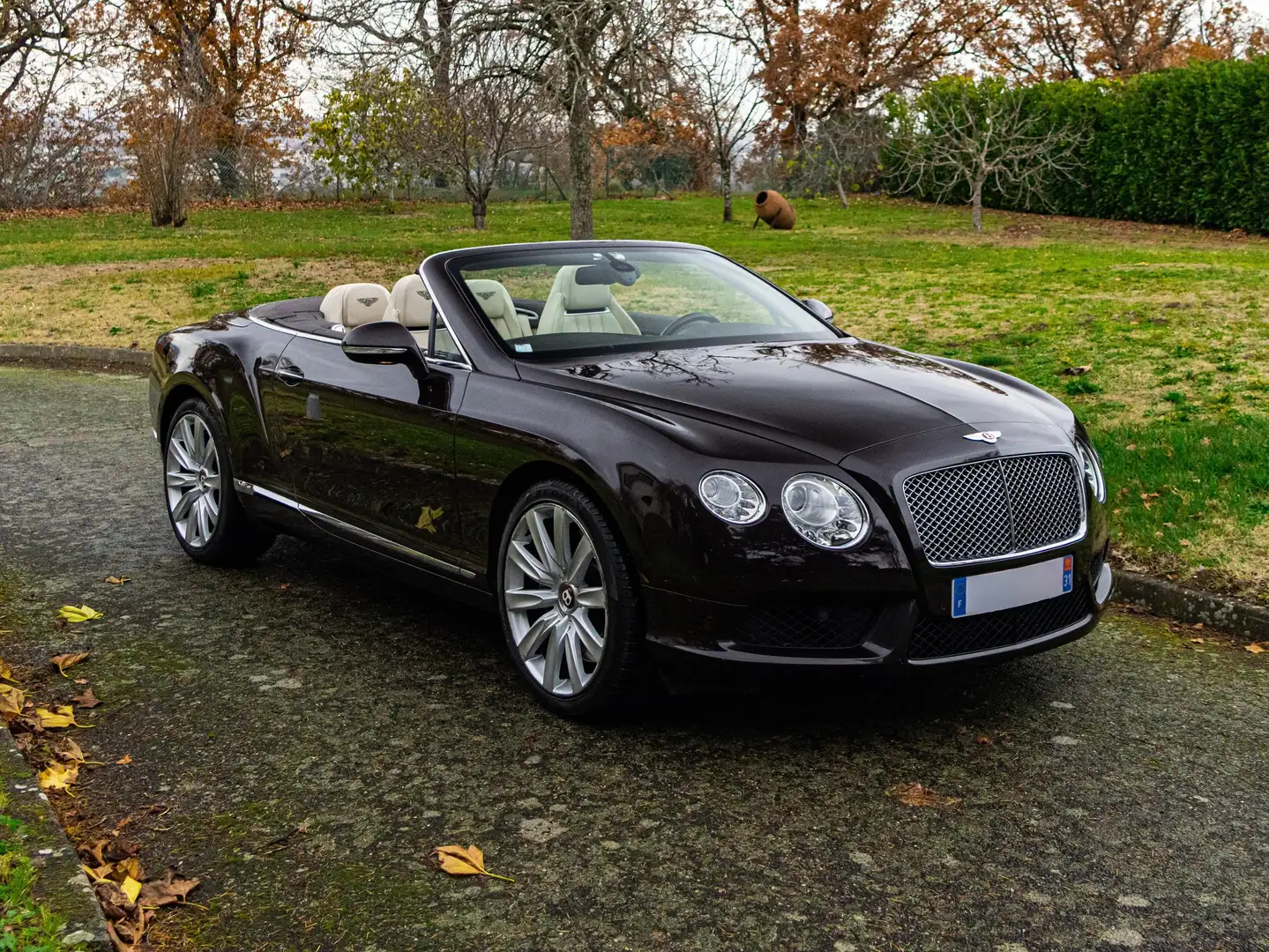 Bentley Continental GTC GTC V8 4.0 Braun - 1