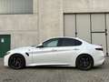 Alfa Romeo Giulia Giulia 2.9 t V6 Quadrifoglio 510cv DISPONIBILE Blanco - thumbnail 7