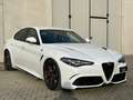 Alfa Romeo Giulia Giulia 2.9 t V6 Quadrifoglio 510cv DISPONIBILE Blanco - thumbnail 1