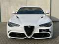 Alfa Romeo Giulia Giulia 2.9 t V6 Quadrifoglio 510cv DISPONIBILE Blanco - thumbnail 3