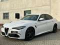 Alfa Romeo Giulia Giulia 2.9 t V6 Quadrifoglio 510cv DISPONIBILE Blanco - thumbnail 2