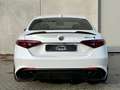 Alfa Romeo Giulia Giulia 2.9 t V6 Quadrifoglio 510cv DISPONIBILE Blanco - thumbnail 5