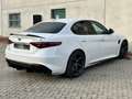 Alfa Romeo Giulia Giulia 2.9 t V6 Quadrifoglio 510cv DISPONIBILE Blanco - thumbnail 6