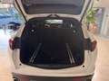 Alfa Romeo Stelvio Super Q4*PANO*19"*SPORT-PAKET*R.KAMERA* Weiß - thumbnail 15