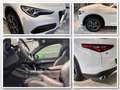 Alfa Romeo Stelvio Super Q4*PANO*19"*SPORT-PAKET*R.KAMERA* Weiß - thumbnail 5