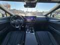Lexus NX 300 NX 450 Plug-in 4WD F-Sport Verde - thumbnail 21