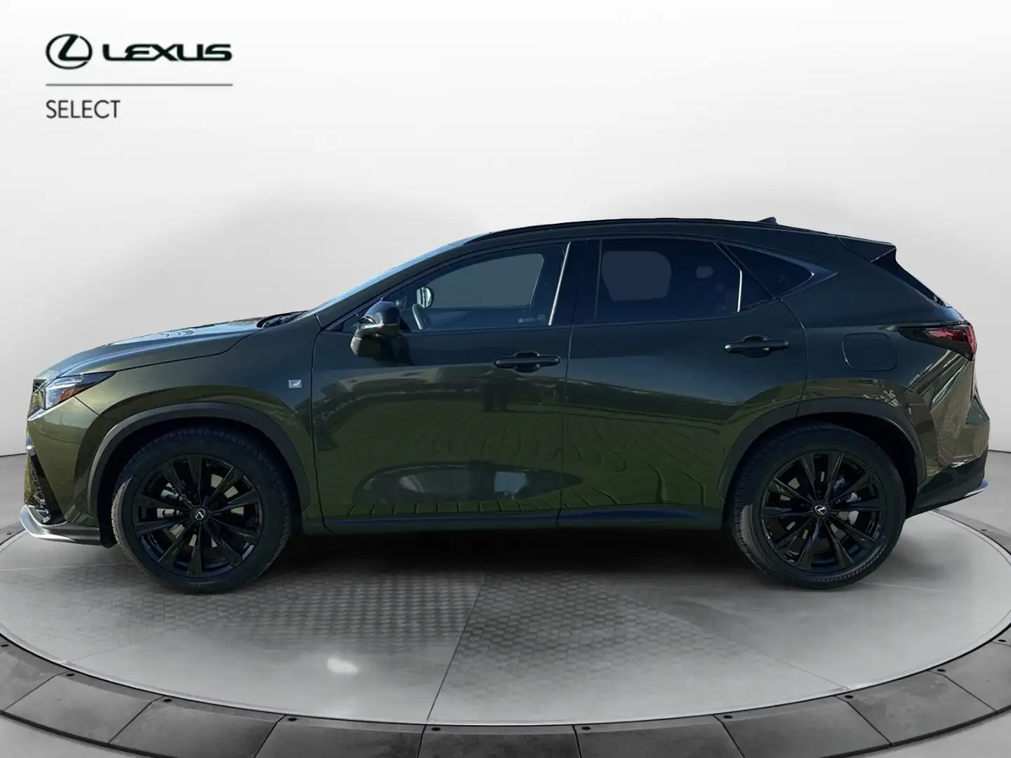 Lexus NX 300 NX 450 Plug-in 4WD F-Sport Verde - 2