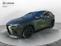 Lexus NX 300 NX 450 Plug-in 4WD F-Sport Verde - thumbnail 1