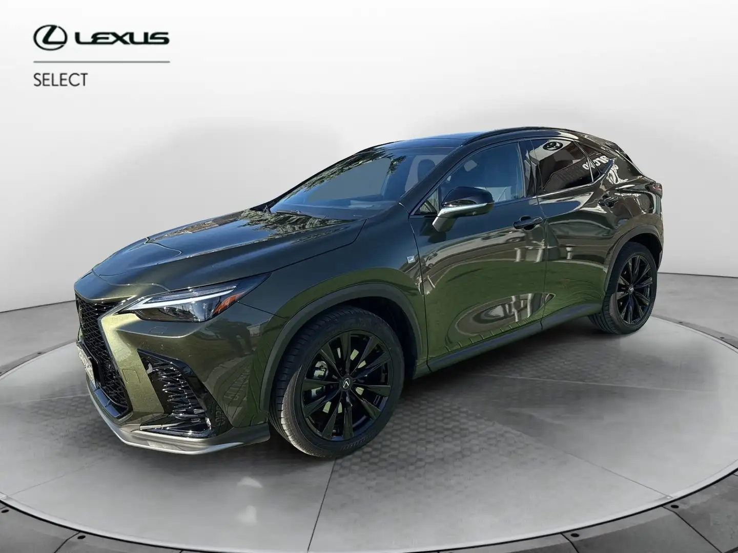 Lexus NX 300 NX 450 Plug-in 4WD F-Sport Verde - 1