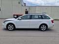 Skoda Octavia Combi 1,6 Ambition TDI Green tec Wit - thumbnail 2