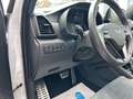 Hyundai TUCSON 1.6 T-GDI N Line 4WD DCT VOLL. PAN.DACH Weiß - thumbnail 12