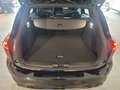 Ford Focus ST-LINE X Turnier 1.0T 155 PS MHEV Automatik Noir - thumbnail 9