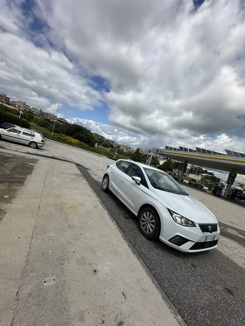 SEAT Ibiza 1.6 tdi Business 95cv - 2