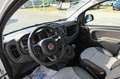 Fiat Panda Cross 1.0 FireFly S&S Hybrid Bianco - thumbnail 12