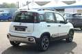 Fiat Panda Cross 1.0 FireFly S&S Hybrid Bianco - thumbnail 5