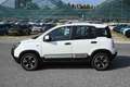 Fiat Panda Cross 1.0 FireFly S&S Hybrid Bianco - thumbnail 8