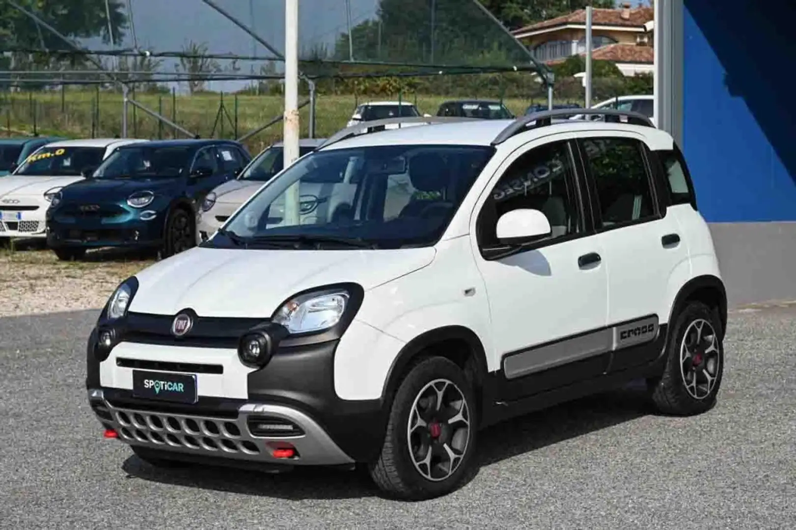 Fiat Panda Cross 1.0 FireFly S&S Hybrid Bianco - 1