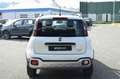 Fiat Panda Cross 1.0 FireFly S&S Hybrid Bianco - thumbnail 6