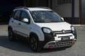 Fiat Panda Cross 1.0 FireFly S&S Hybrid Bianco - thumbnail 3